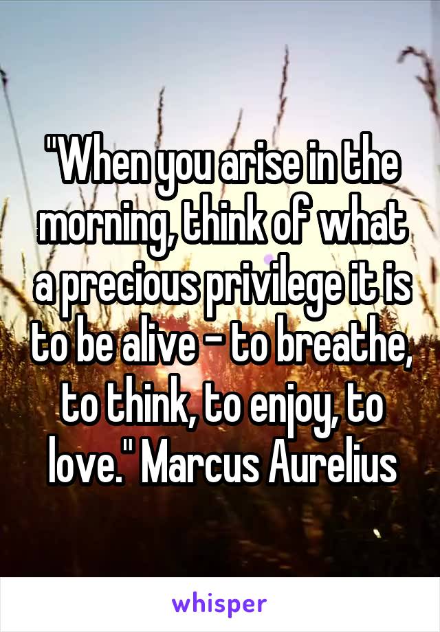 "When you arise in the morning, think of what a precious privilege it is to be alive - to breathe, to think, to enjoy, to love." Marcus Aurelius