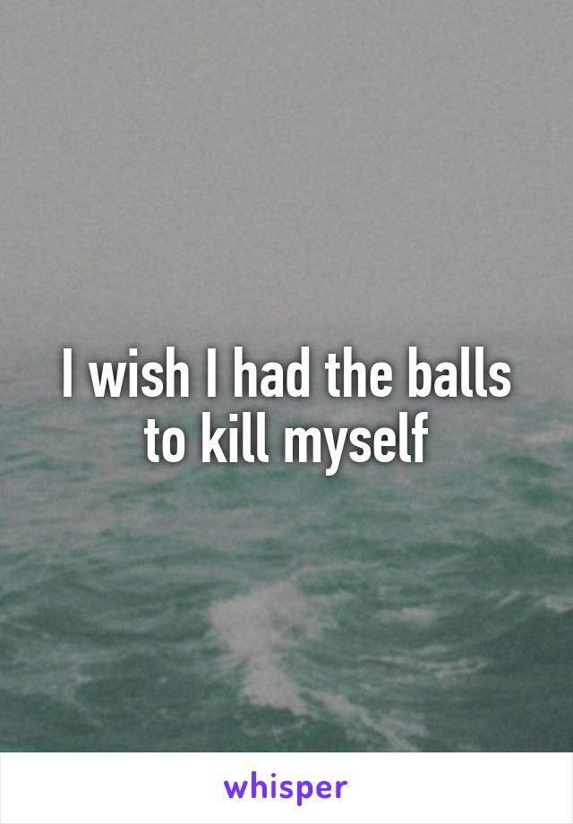 I wish I had the balls to kill myself