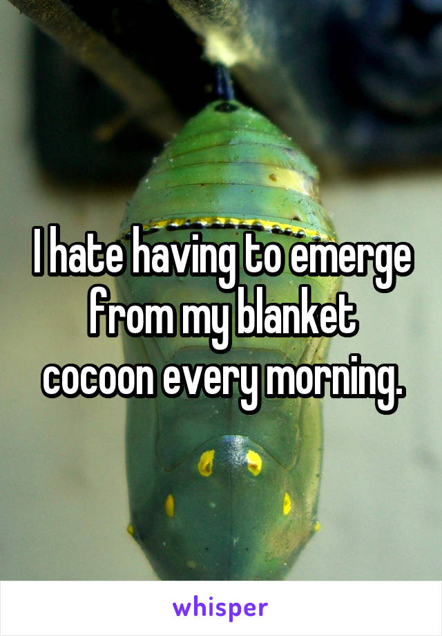 I hate having to emerge from my blanket cocoon every morning.