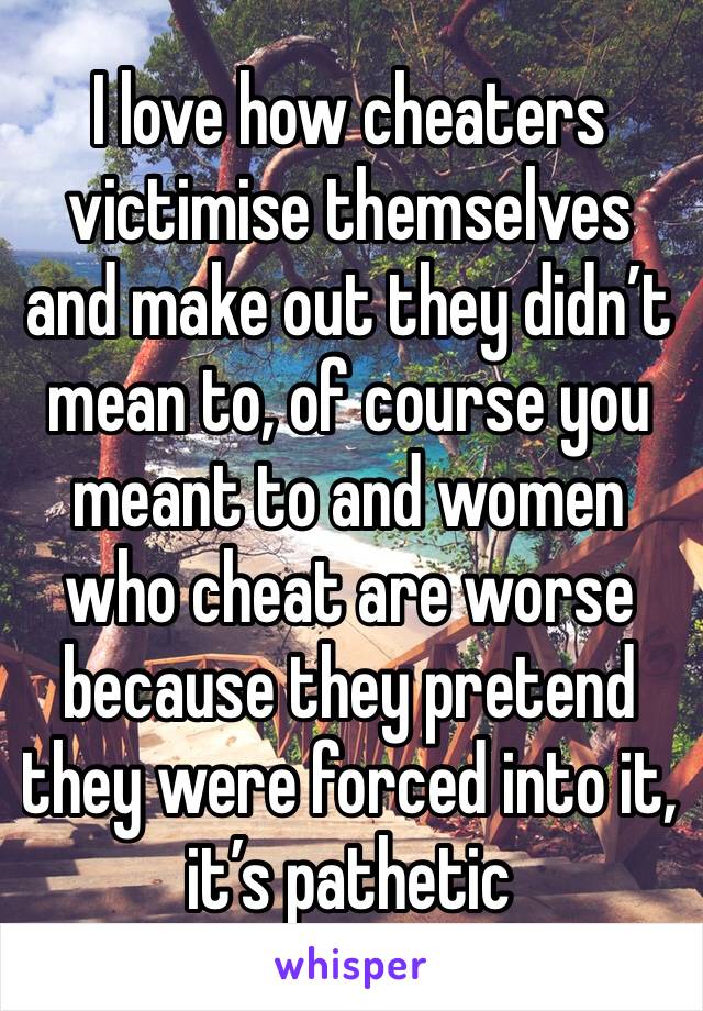 I love how cheaters victimise themselves and make out they didn’t mean to, of course you meant to and women who cheat are worse because they pretend they were forced into it, it’s pathetic