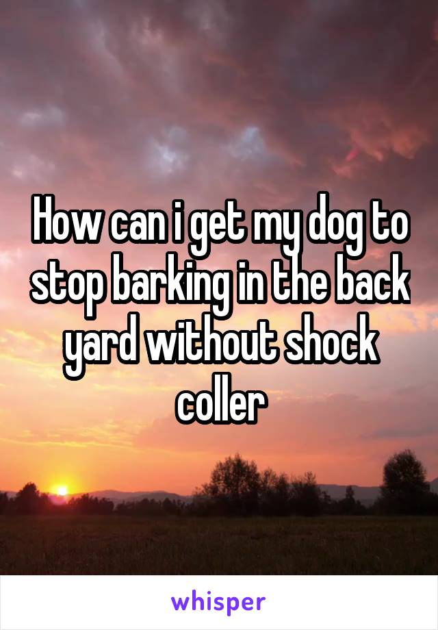 How can i get my dog to stop barking in the back yard without shock coller