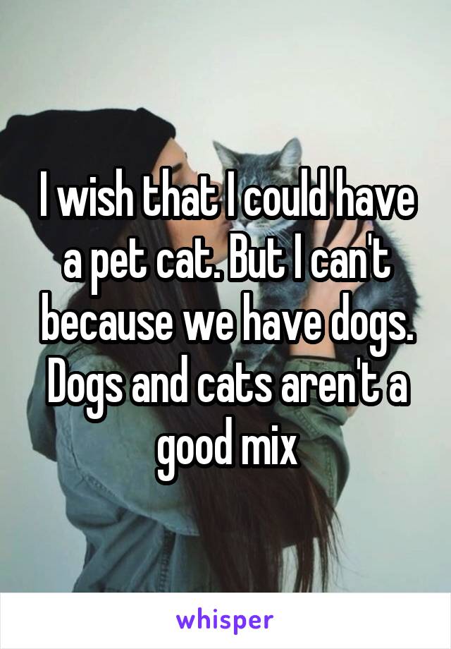 I wish that I could have a pet cat. But I can't because we have dogs. Dogs and cats aren't a good mix