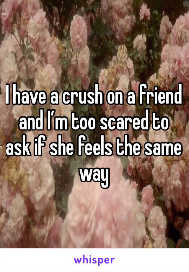 I have a crush on a friend and I’m too scared to ask if she feels the same way