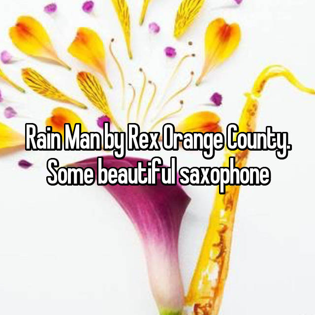 Rain Man By Rex Orange County Some Beautiful Saxophone