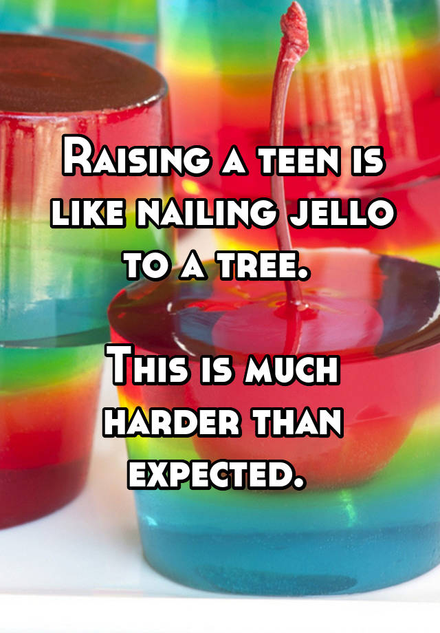nailing jello to a tree
