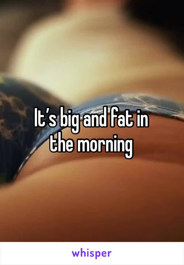 It’s big and fat in the morning