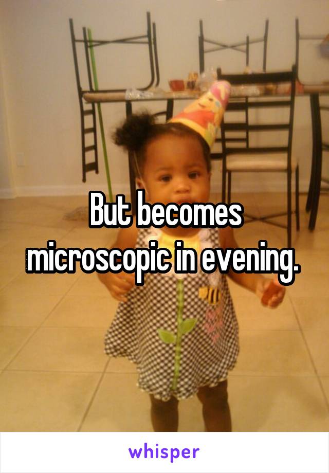 But becomes microscopic in evening. 