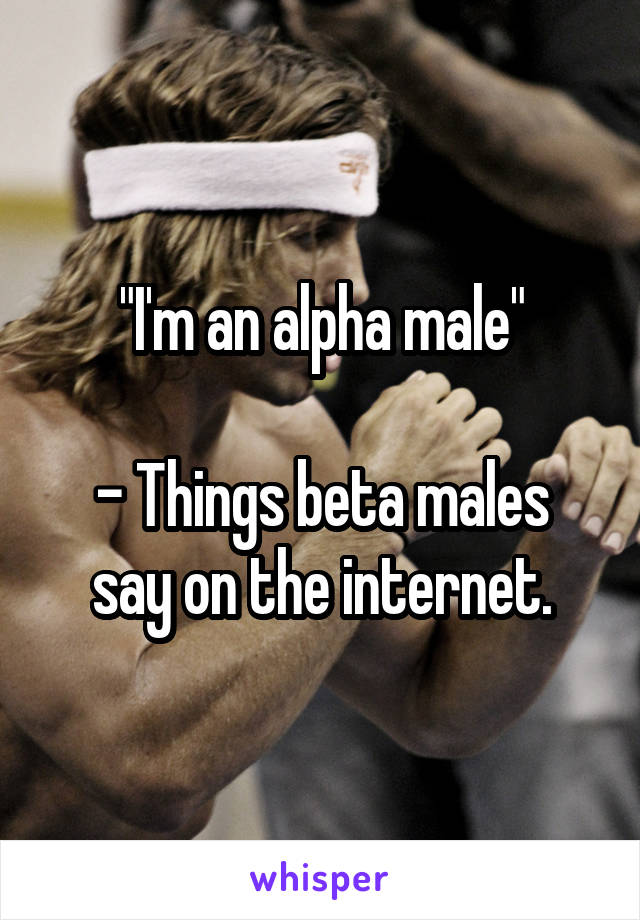 Image result for alpha beta males
