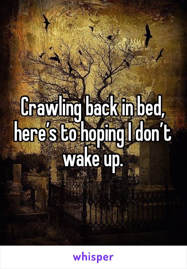Crawling back in bed, here’s to hoping I don’t wake up. 