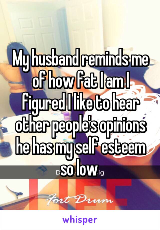My husband reminds me of how fat I am I figured I like to hear other people's opinions he has my self esteem so low 