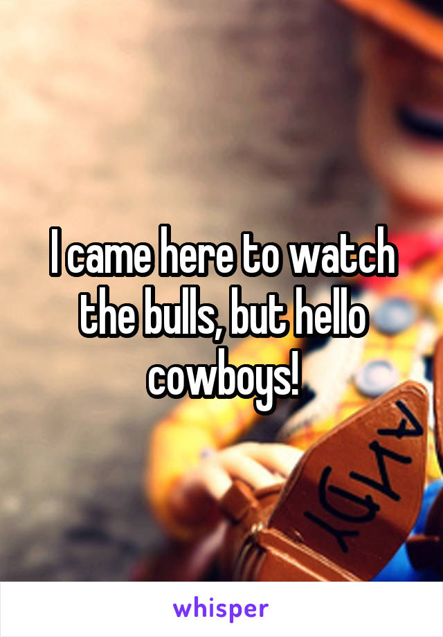 I came here to watch the bulls, but hello cowboys!