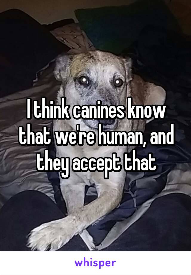 I think canines know that we're human, and they accept that
