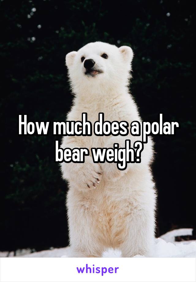How much does a polar bear weigh?