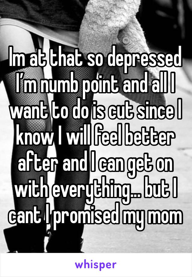 Im at that so depressed I’m numb point and all I want to do is cut since I know I will feel better after and I can get on with everything... but I cant I promised my mom