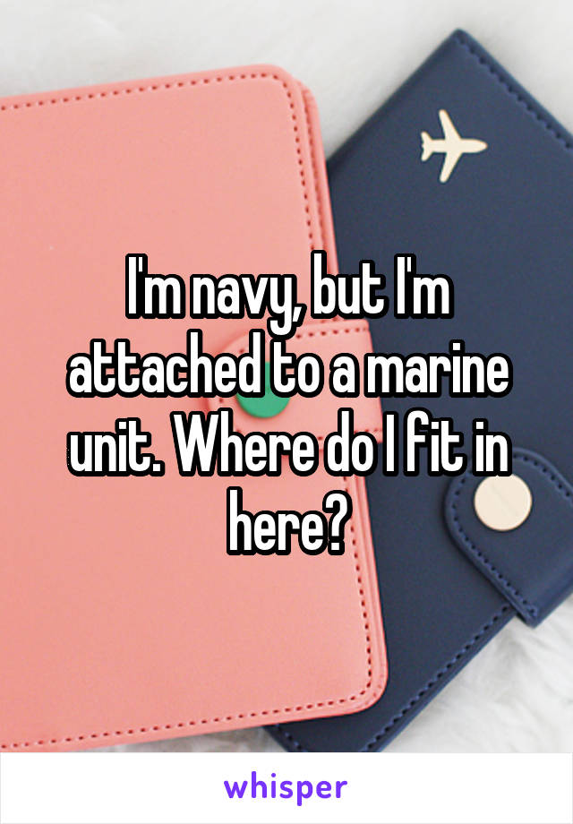 I'm navy, but I'm attached to a marine unit. Where do I fit in here?