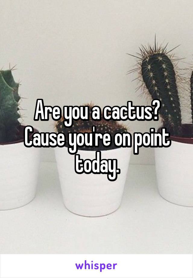 Are you a cactus? Cause you're on point today.