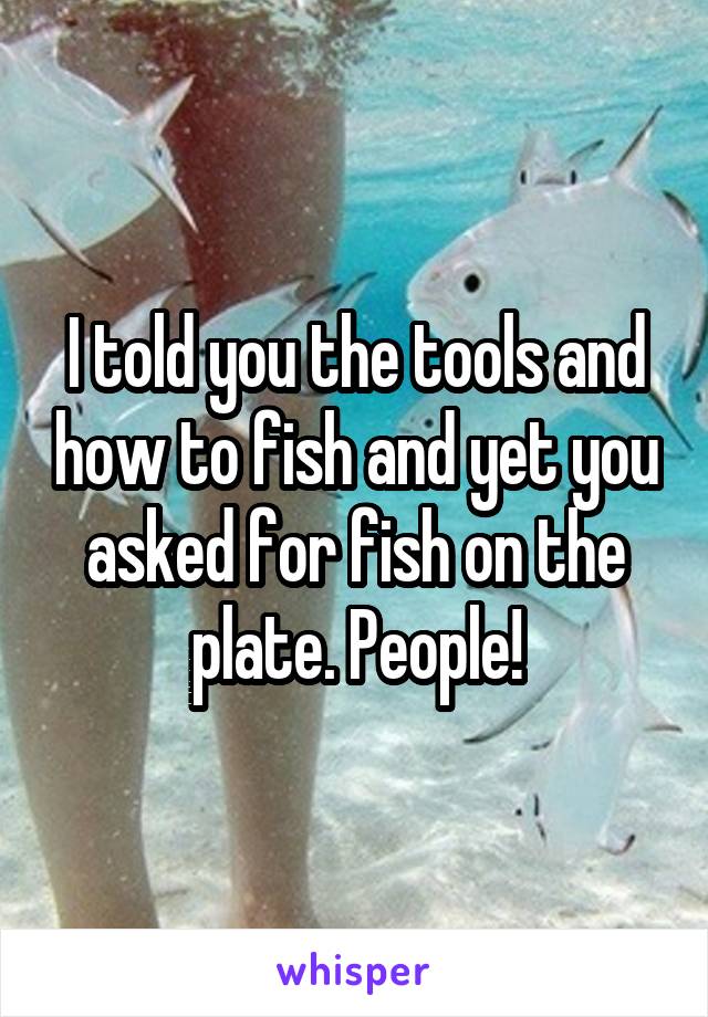 I told you the tools and how to fish and yet you asked for fish on the plate. People!