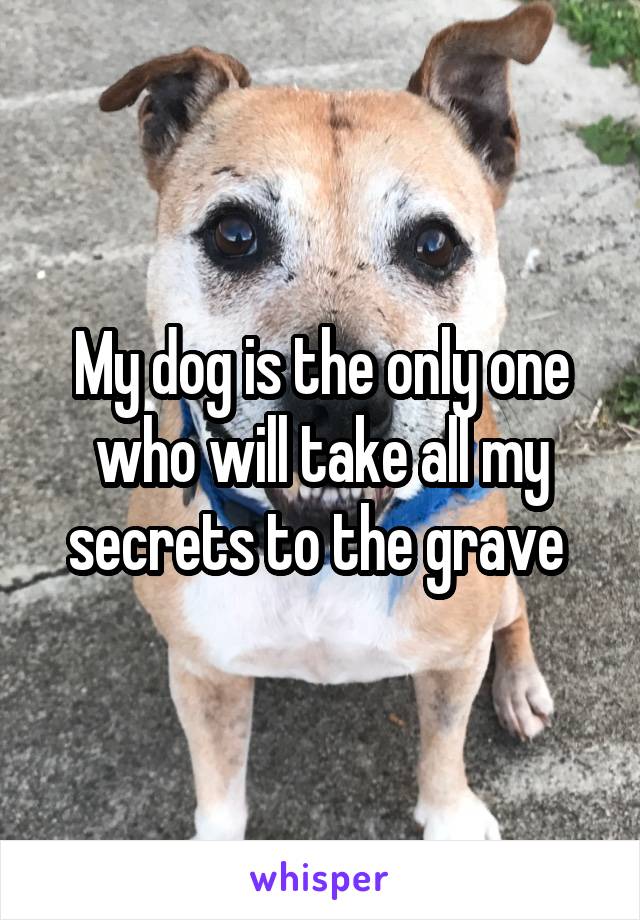 My dog is the only one who will take all my secrets to the grave 