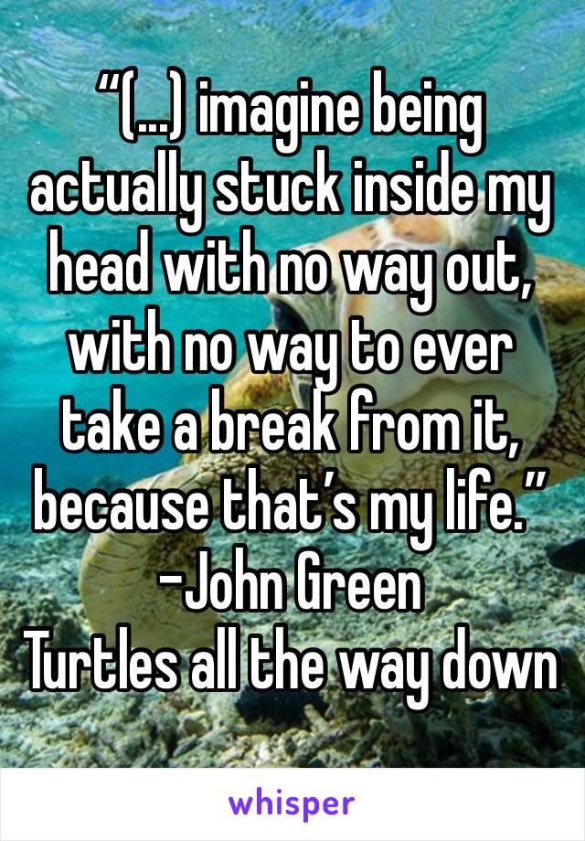 “(...) imagine being actually stuck inside my head with no way out, with no way to ever take a break from it, because that’s my life.”
-John Green
Turtles all the way down