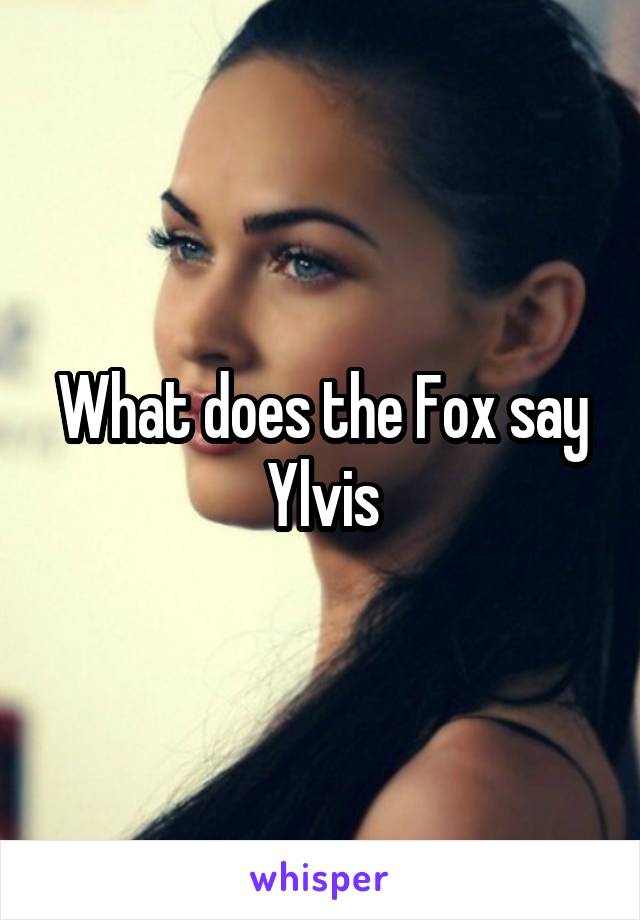What does the Fox say
Ylvis