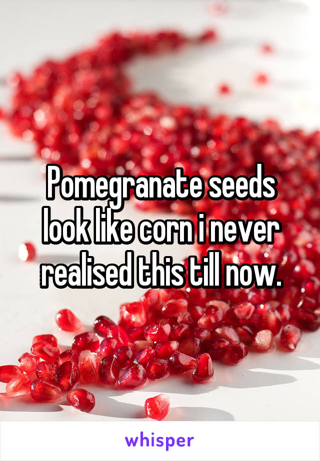 Pomegranate seeds look like corn i never realised this till now.