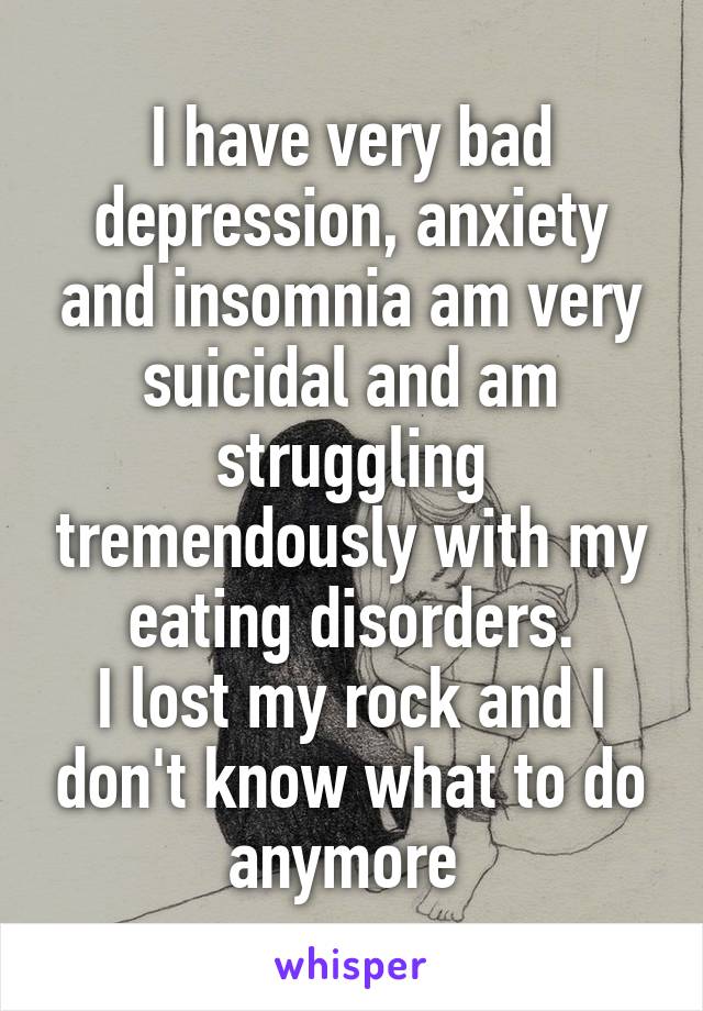 I have very bad depression, anxiety and insomnia am very suicidal and am struggling tremendously with my eating disorders.
I lost my rock and I don't know what to do anymore 