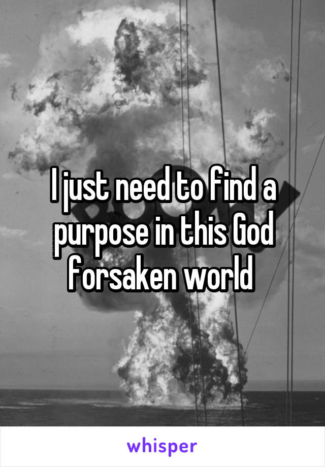 I just need to find a purpose in this God forsaken world 