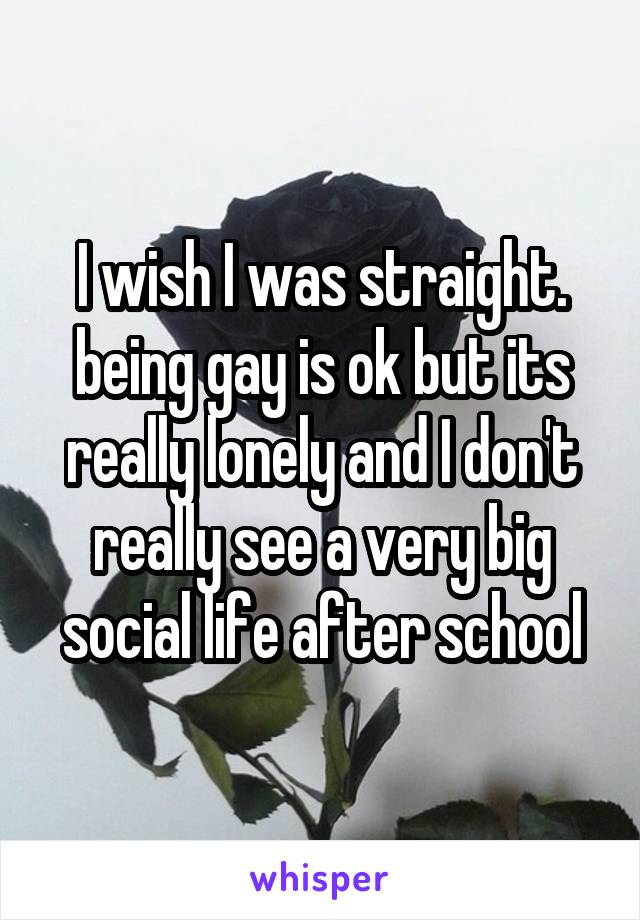 I wish I was straight. being gay is ok but its really lonely and I don't really see a very big social life after school