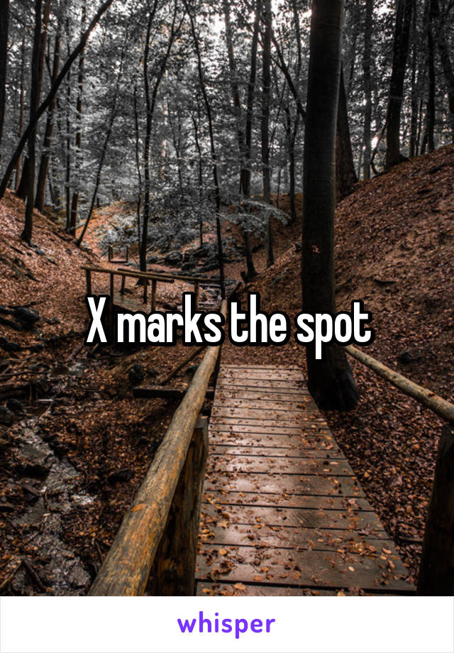 X marks the spot