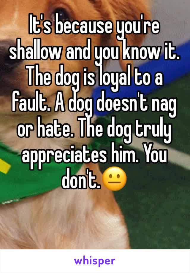It's because you're shallow and you know it. The dog is loyal to a fault. A dog doesn't nag or hate. The dog truly appreciates him. You don't.😐