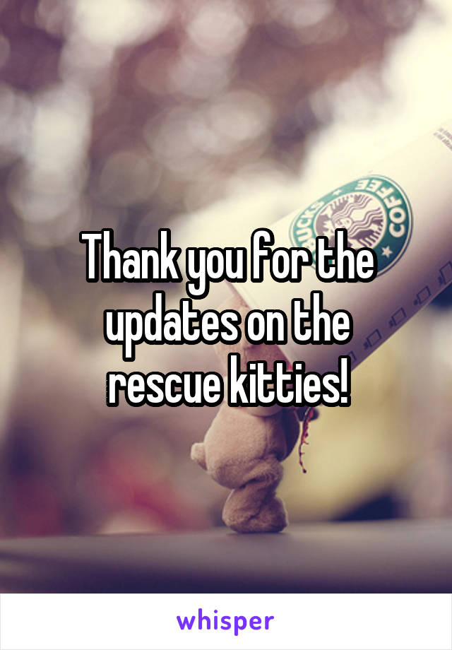 Thank you for the updates on the
rescue kitties!