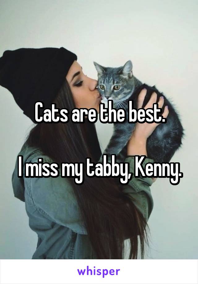 Cats are the best.

I miss my tabby, Kenny.