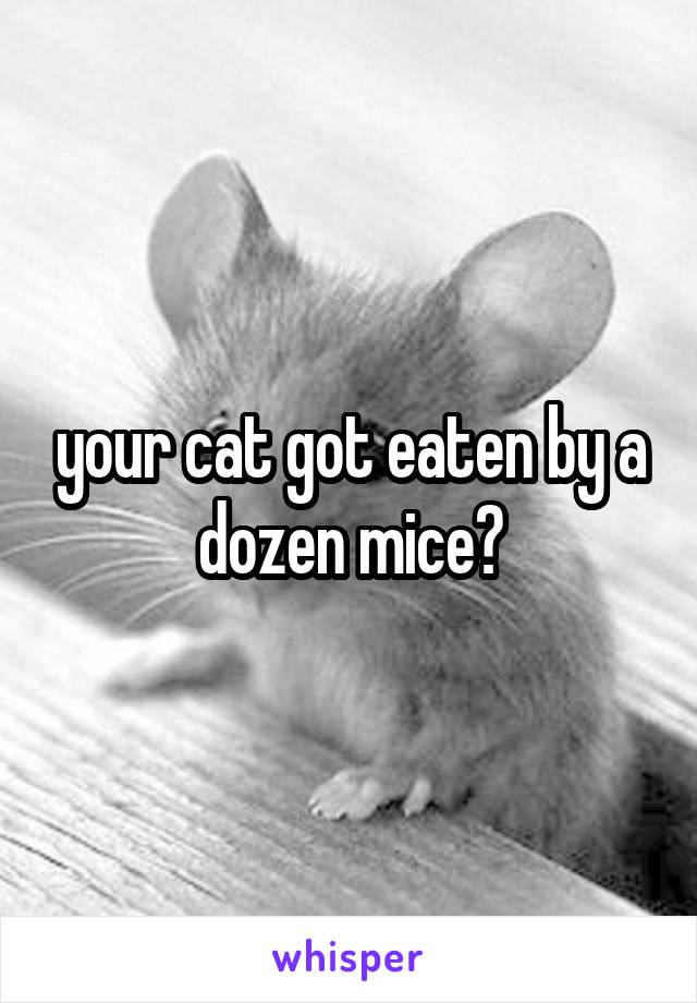 your cat got eaten by a dozen mice?