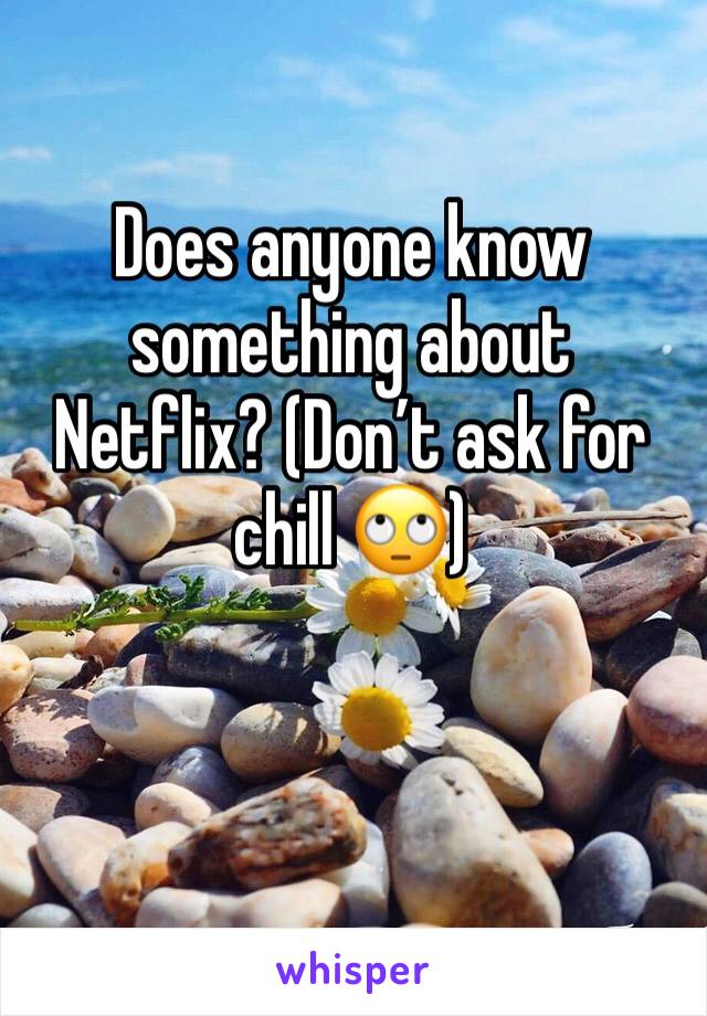 Does anyone know something about Netflix? (Don’t ask for chill 🙄)