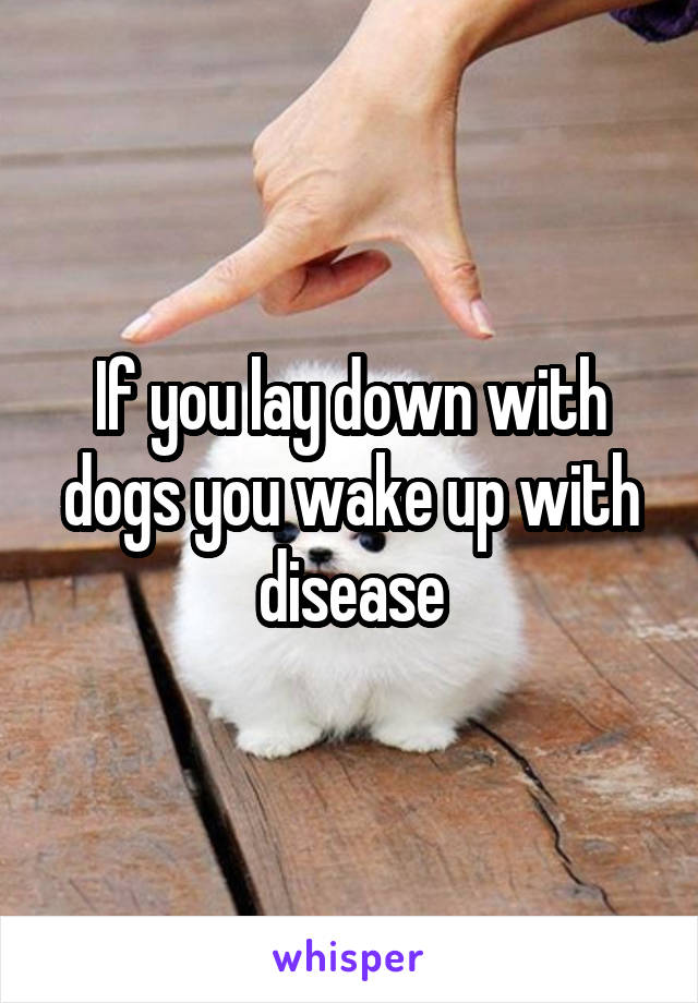 If you lay down with dogs you wake up with disease