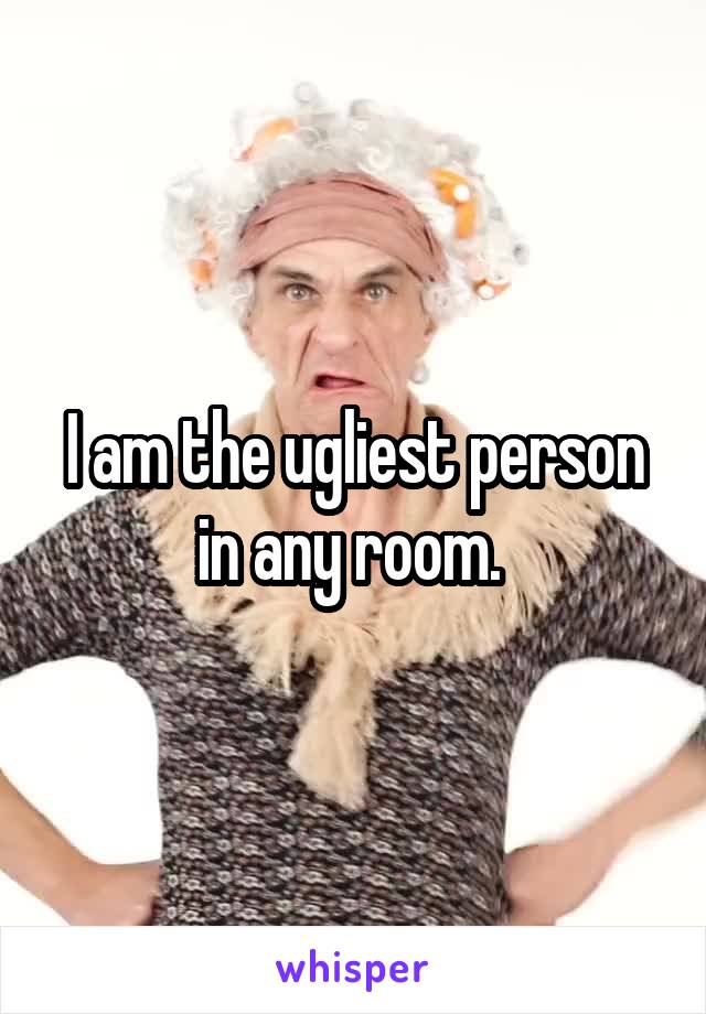 I am the ugliest person in any room. 