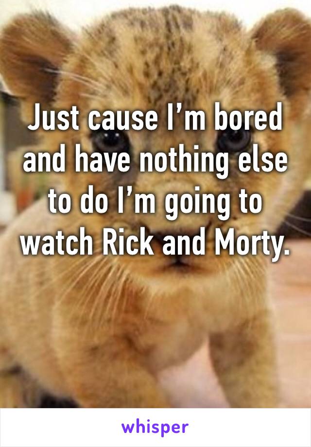 Just cause I’m bored and have nothing else to do I’m going to watch Rick and Morty. 