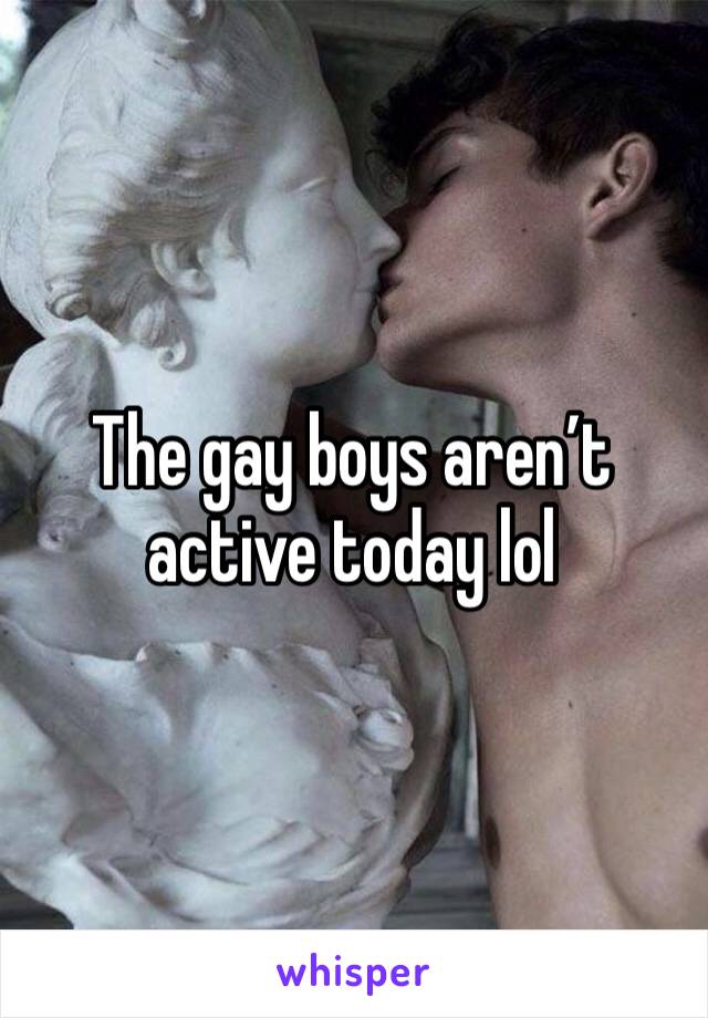 The gay boys aren’t active today lol