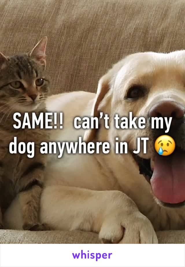 SAME!!  can’t take my dog anywhere in JT 😢