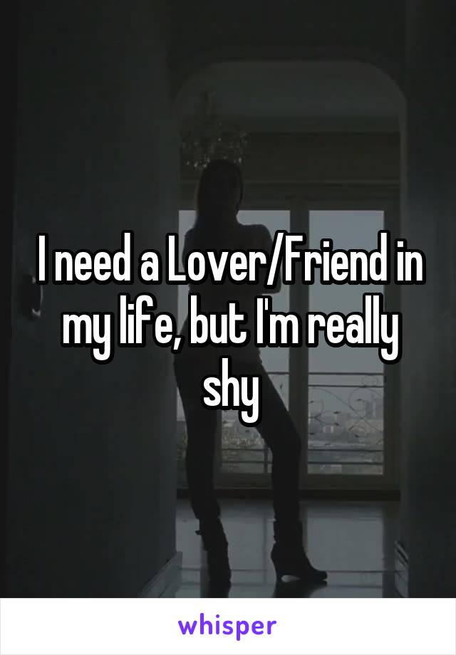 I need a Lover/Friend in my life, but I'm really shy