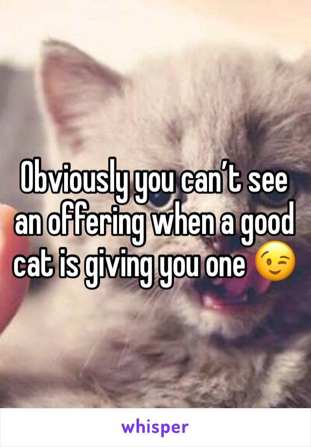 Obviously you can’t see an offering when a good cat is giving you one 😉