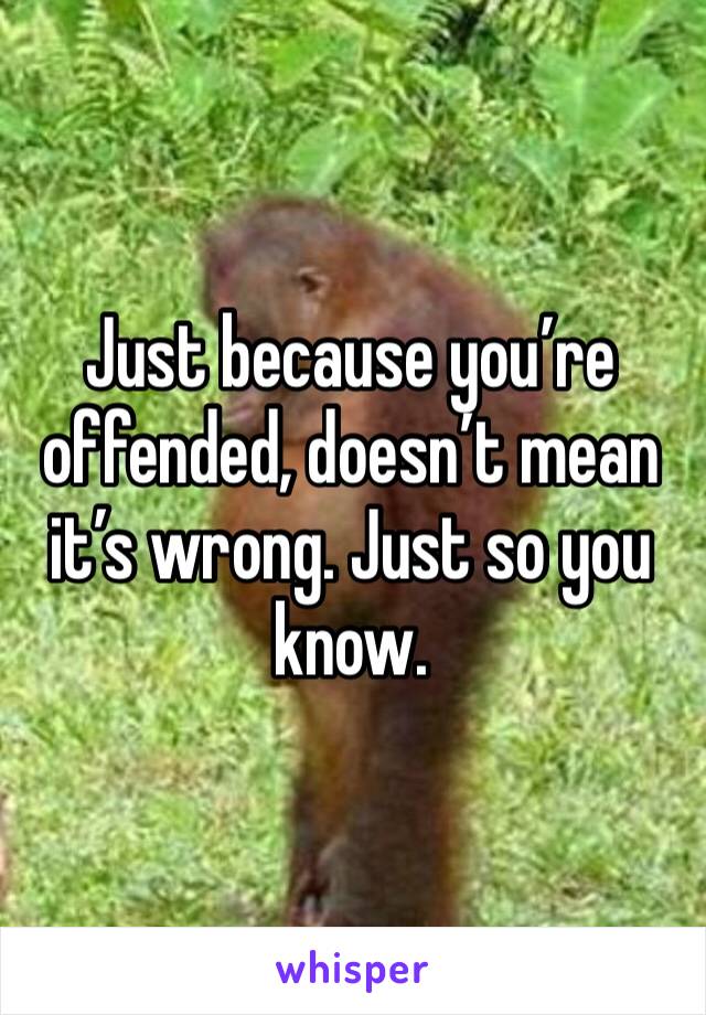 Just because you’re offended, doesn’t mean it’s wrong. Just so you know. 