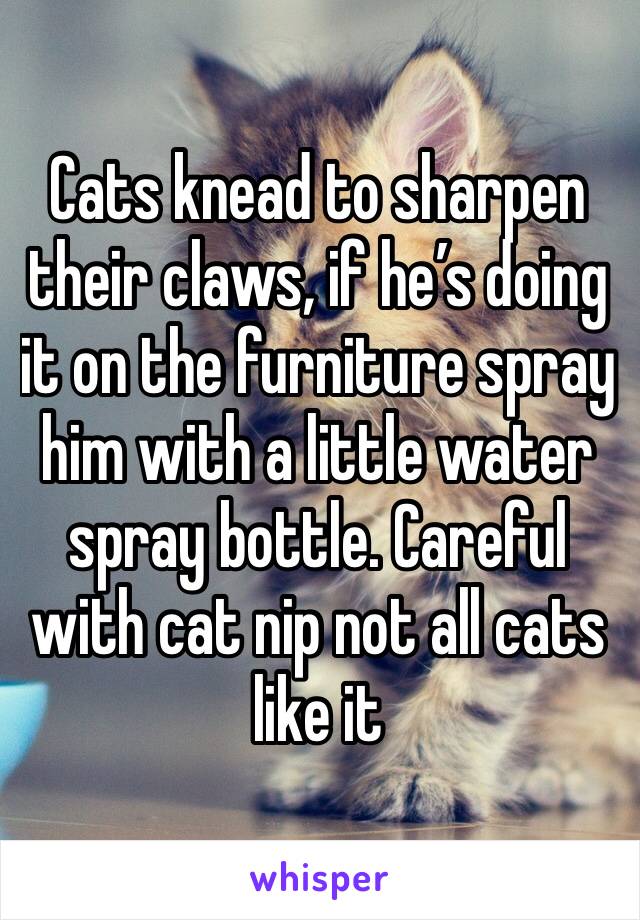 Cats knead to sharpen their claws, if he’s doing it on the furniture spray him with a little water spray bottle. Careful with cat nip not all cats like it 