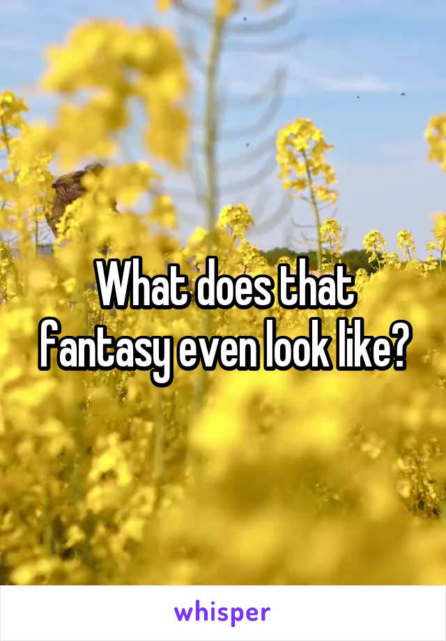 What does that fantasy even look like?