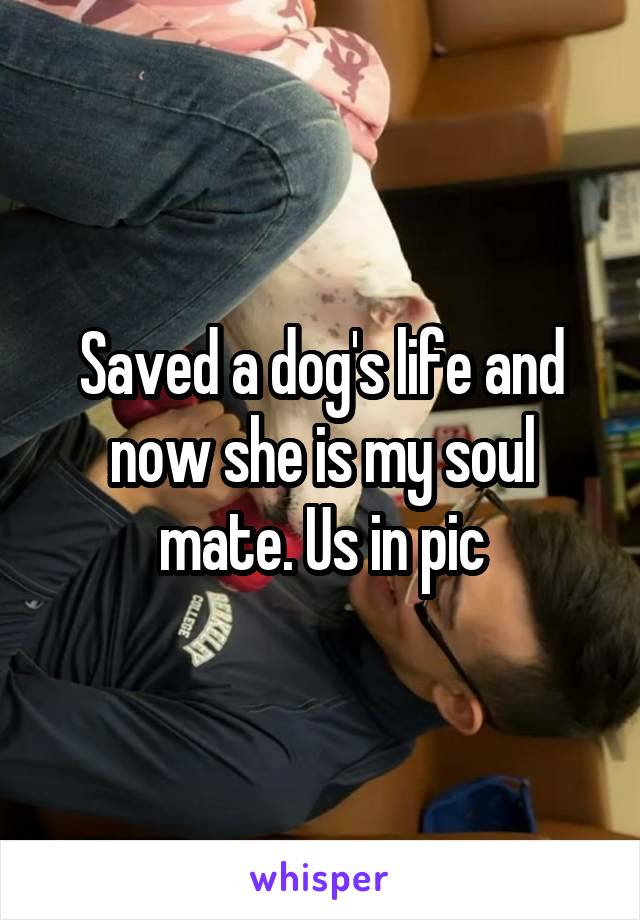 Saved a dog's life and now she is my soul mate. Us in pic