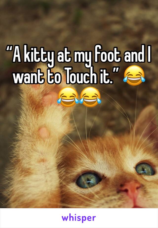 “A kitty at my foot and I want to Touch it.” 😂😂😂