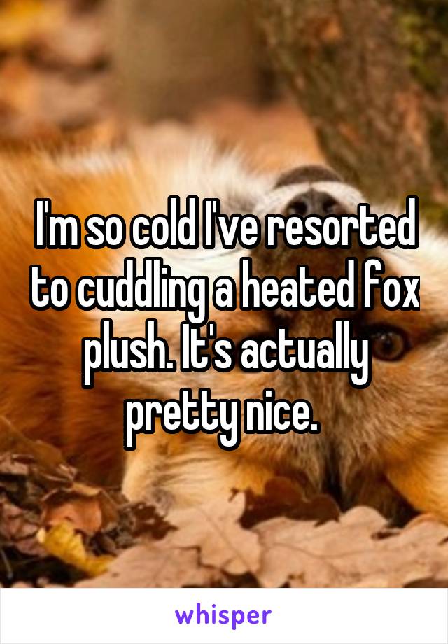 I'm so cold I've resorted to cuddling a heated fox plush. It's actually pretty nice. 