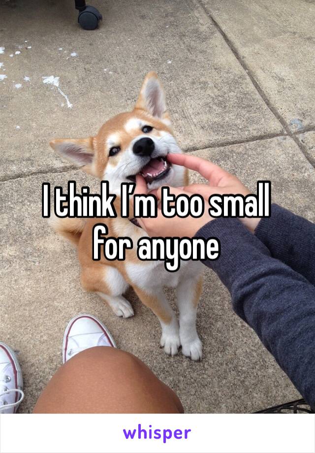I think I’m too small for anyone 
