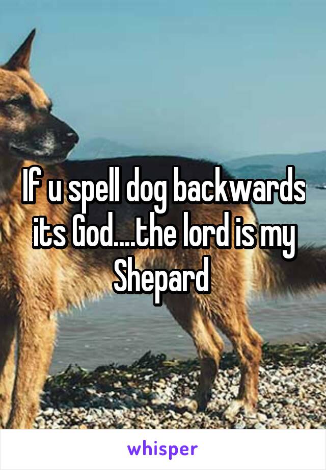 If U Spell Dog Backwards Its God The Lord Is My Shepard