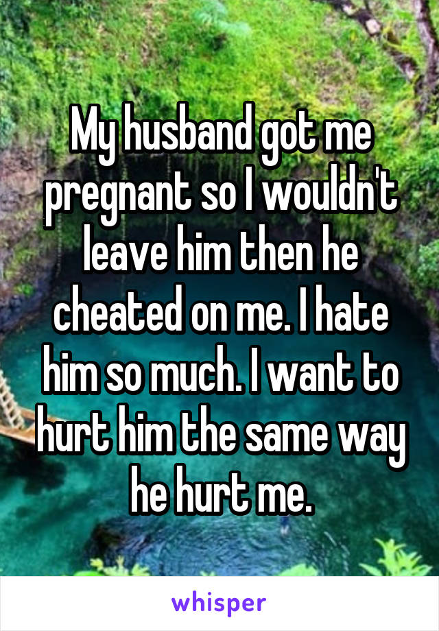 My husband got me pregnant so I wouldn't leave him then he cheated on me. I hate him so much. I want to hurt him the same way he hurt me.